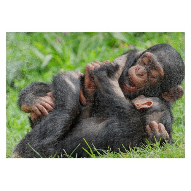 Cutest Baby Animals | Two Young Chimpanzees Cutting Board (Front)