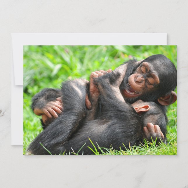 Cutest Baby Animals | Two Young Chimpanzees Thank You Card (Front)