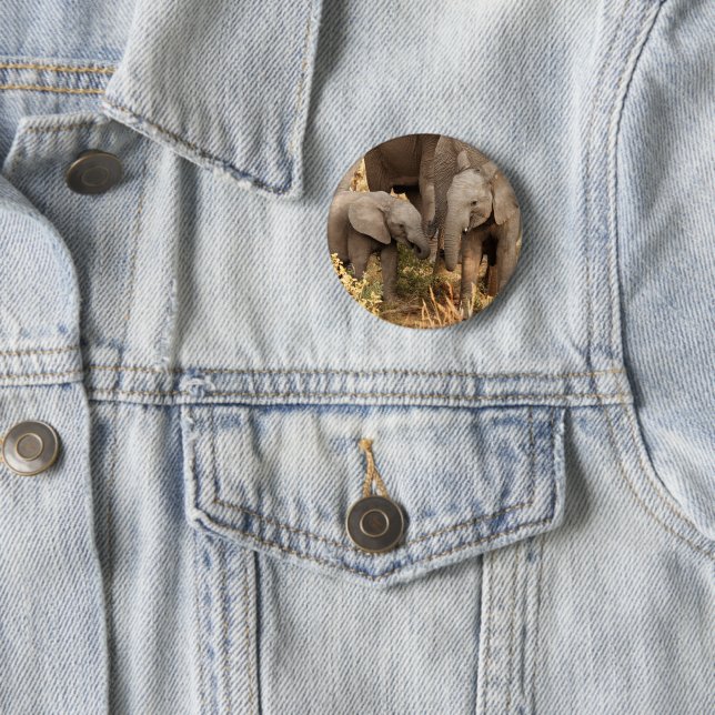 Cutest Baby Animals | Two Young Elephants 2 Inch Round Button (In Situ)