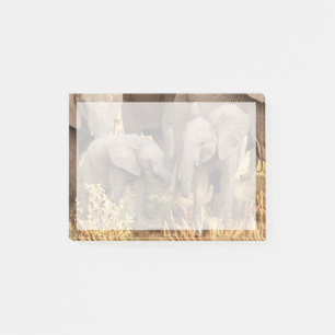 Cutest Baby Animals Two Young Elephants Post-it Notes