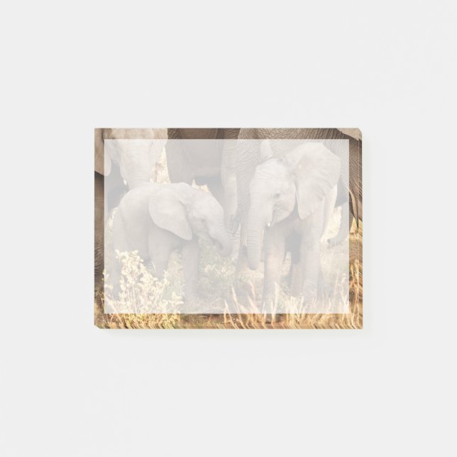 Cutest Baby Animals | Two Young Elephants Post-it Notes (Front)