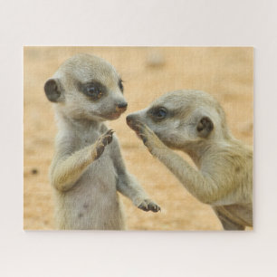 Cutest Baby Animals Two Young Meerkats Jigsaw Puzzle