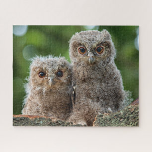 Cutest Baby Animals Two Young Owls Jigsaw Puzzle