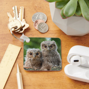 Cutest Baby Animals Two Young Owls Keychain