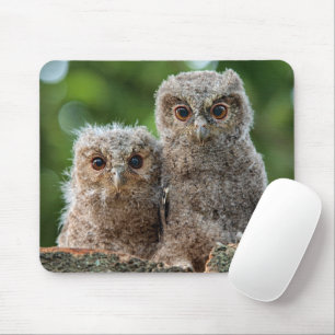 Cutest Baby Animals Two Young Owls Mouse Pad