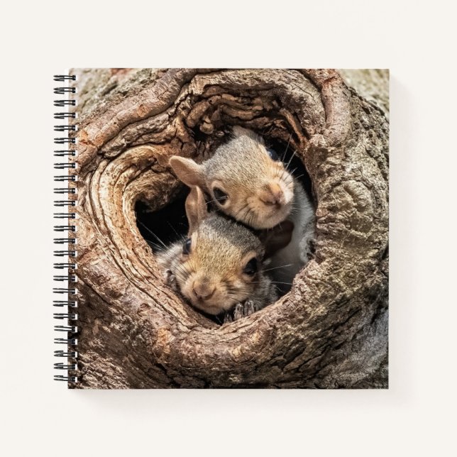 Cutest Baby Animals | Two Young Squirrels Notebook (Front)