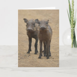 Cutest Baby Animals Two Young Warthogs Card