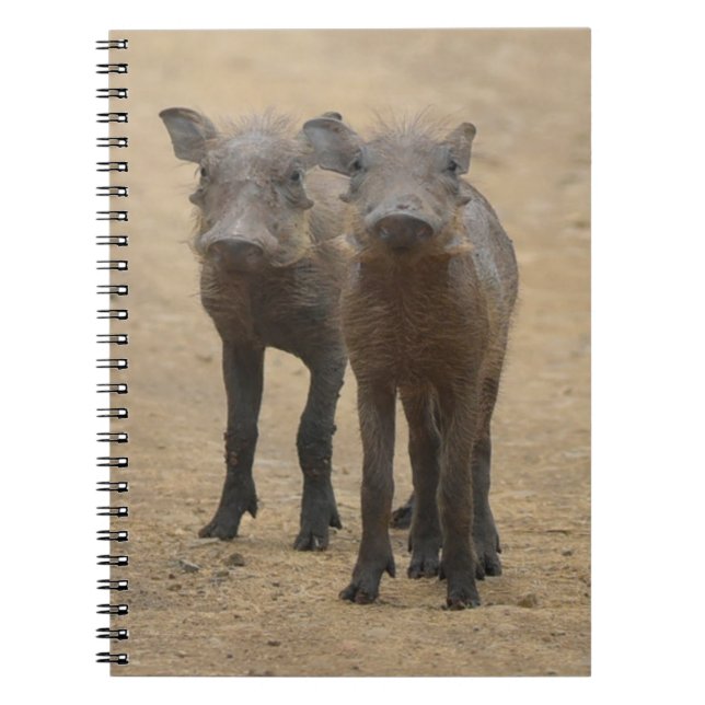 Cutest Baby Animals | Two Young Warthogs Notebook (Front)