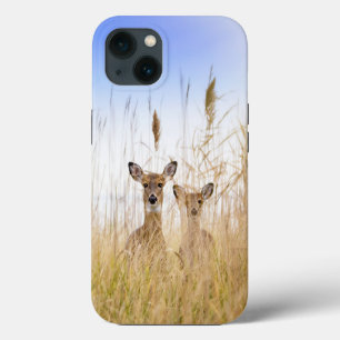 Cutest Baby Animals   Two Young White Tailed Deer iPhone 13 Case