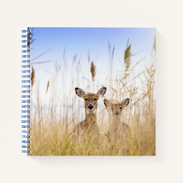 Cutest Baby Animals | Two Young White Tailed Deer Notebook (Front)