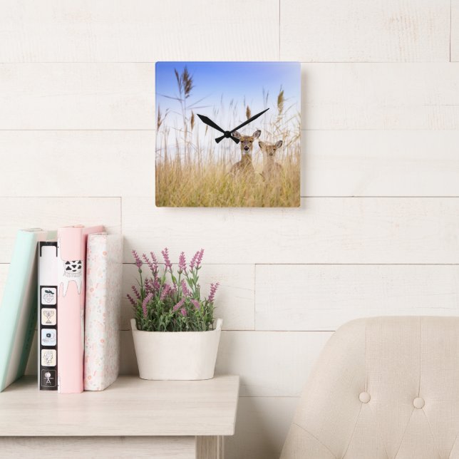 Cutest Baby Animals | Two Young White Tailed Deer Square Wall Clock (Reading Room)