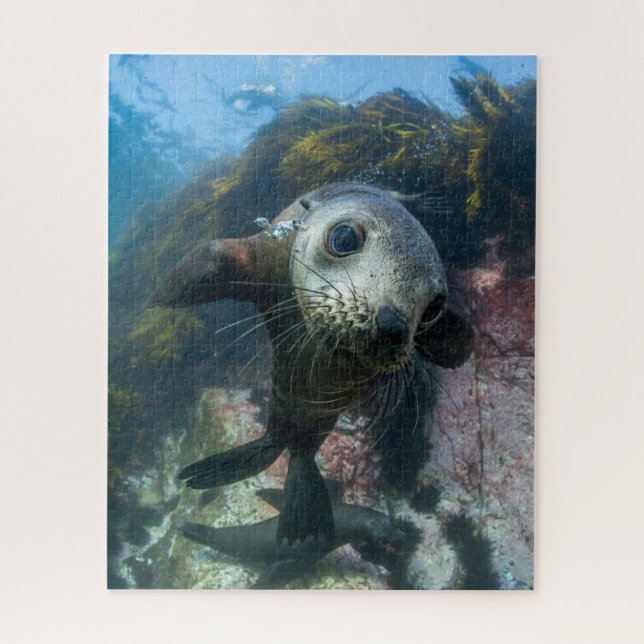 Cutest Baby Animals | Underwater Cape Fur Seal Jigsaw Puzzle (Vertical)