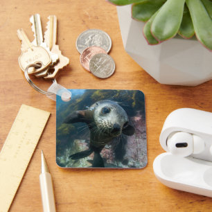 Cutest Baby Animals   Underwater Cape Fur Seal Keychain