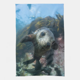 Cutest Baby Animals   Underwater Cape Fur Seal Kitchen Towel