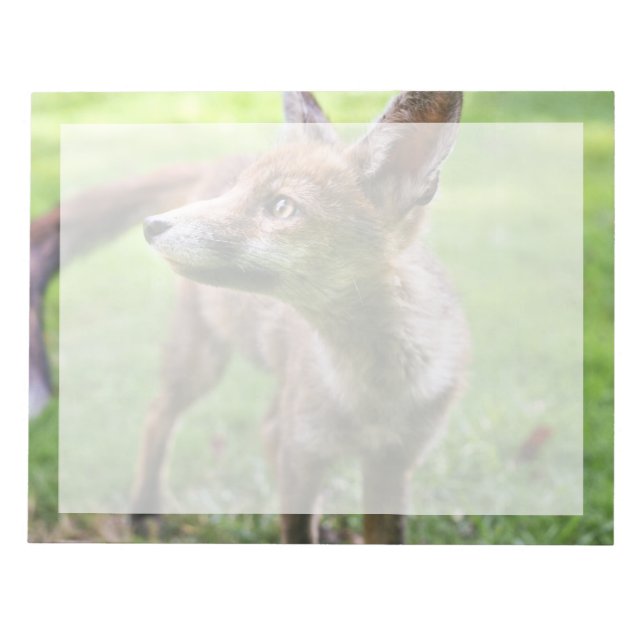 Cutest Baby Animals | Urban Fox Notepad (Front)