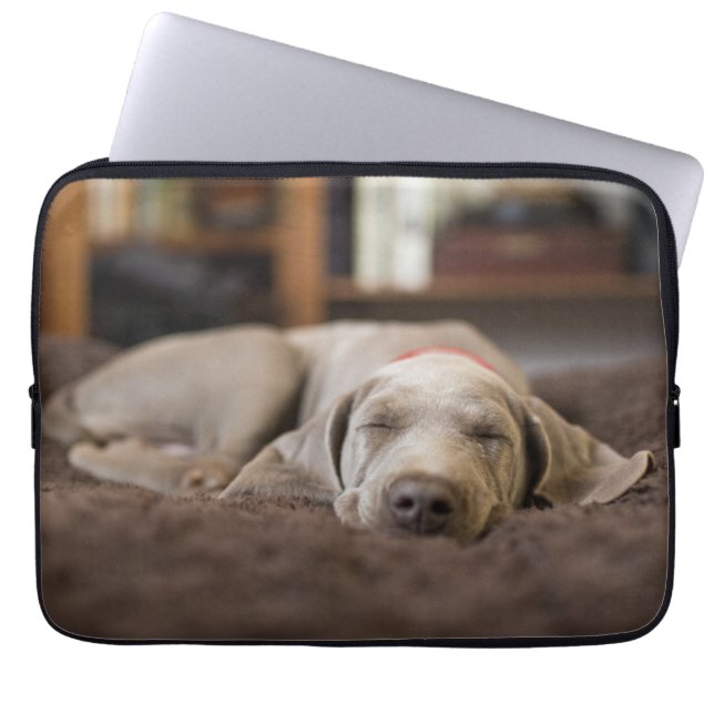Cutest Baby Animals | Weimaraner Puppy Sleeping Laptop Sleeve (Front)
