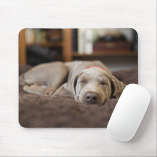 Cutest Baby Animals   Weimaraner Puppy Sleeping Mouse Pad