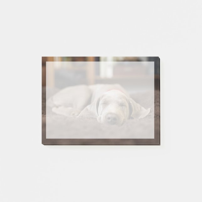 Cutest Baby Animals | Weimaraner Puppy Sleeping Post-it Notes (Front)
