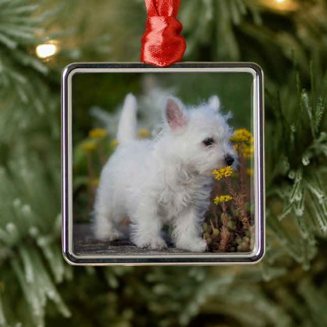 Cutest Baby Animals | West Highland White Terrier Metal Ornament (Tree)