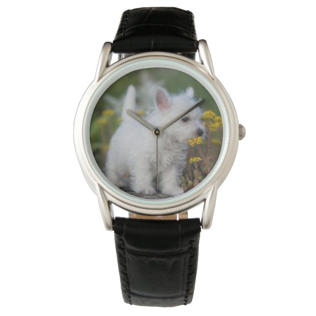 Cutest Baby Animals | West Highland White Terrier Watch (Front)
