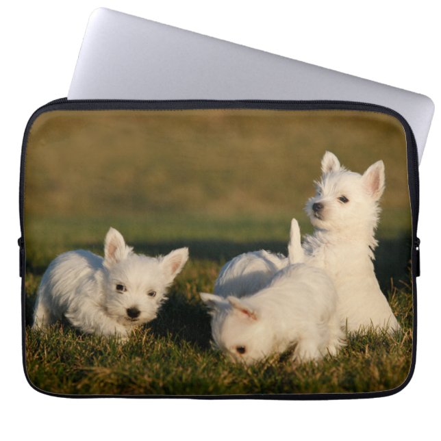 Cutest Baby Animals | West Highland White Terriers Laptop Sleeve (Front)