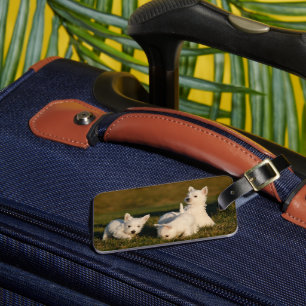 Cutest Baby Animals   West Highland White Terriers Luggage Tag