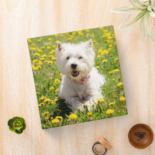 Cutest Baby Animals   Westie Dog in Dandelions Binder