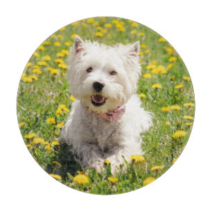 Cutest Baby Animals Westie Dog in Dandelions Cutting Board