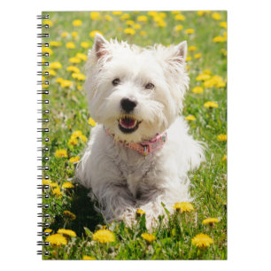 Cutest Baby Animals Westie Dog in Dandelions Notebook