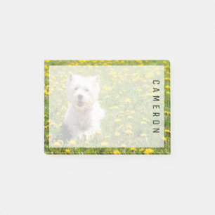 Cutest Baby Animals Westie Dog in Dandelions Post-it Notes