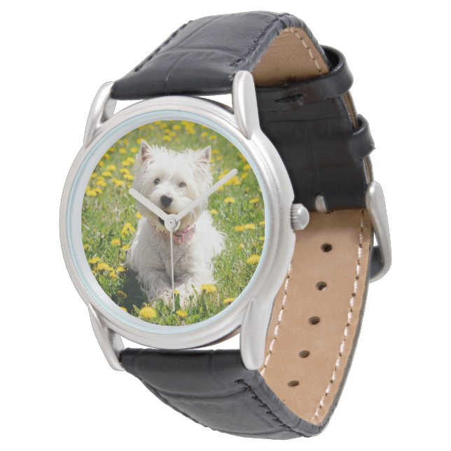Cutest Baby Animals | Westie Dog in Dandelions Watch (Angled)