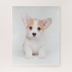 Cutest Baby Animals White Corgi Puppy Jigsaw Puzzle