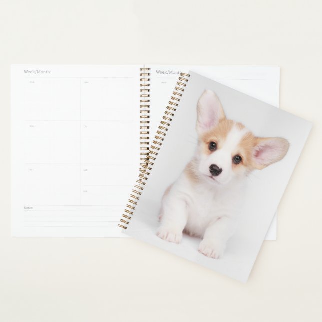 Cutest Baby Animals | White Corgi Puppy Planner (Display)