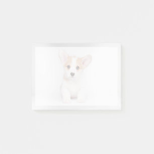 Cutest Baby Animals White Corgi Puppy Post-it Notes