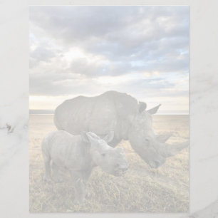 Cutest Baby Animals White Rhino & Calf