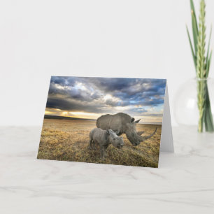 Cutest Baby Animals White Rhino & Calf Card