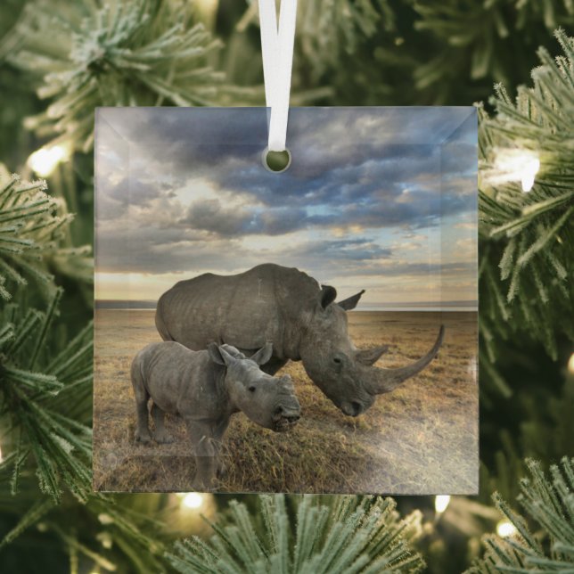 Cutest Baby Animals | White Rhino & Calf Glass Ornament (Insitu)