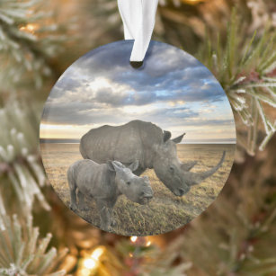 Cutest Baby Animals   White Rhino & Calf Ornament