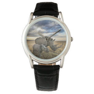 Cutest Baby Animals   White Rhino & Calf Watch