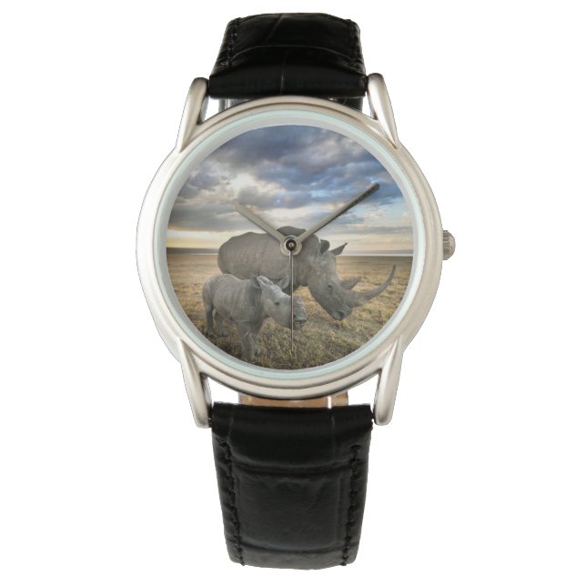 Cutest Baby Animals | White Rhino & Calf Watch (Front)