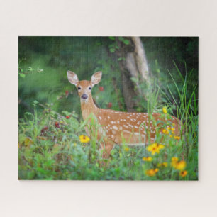Cutest Baby Animals   White Tailed Deer in Daisies Jigsaw Puzzle