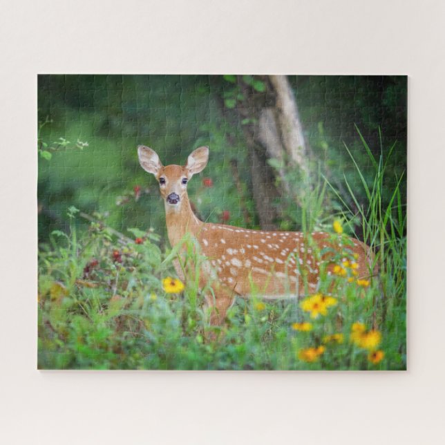 Cutest Baby Animals | White Tailed Deer in Daisies Jigsaw Puzzle (Horizontal)