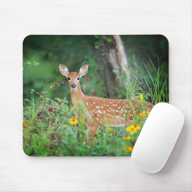 Cutest Baby Animals | White Tailed Deer in Daisies Mouse Pad (With Mouse)