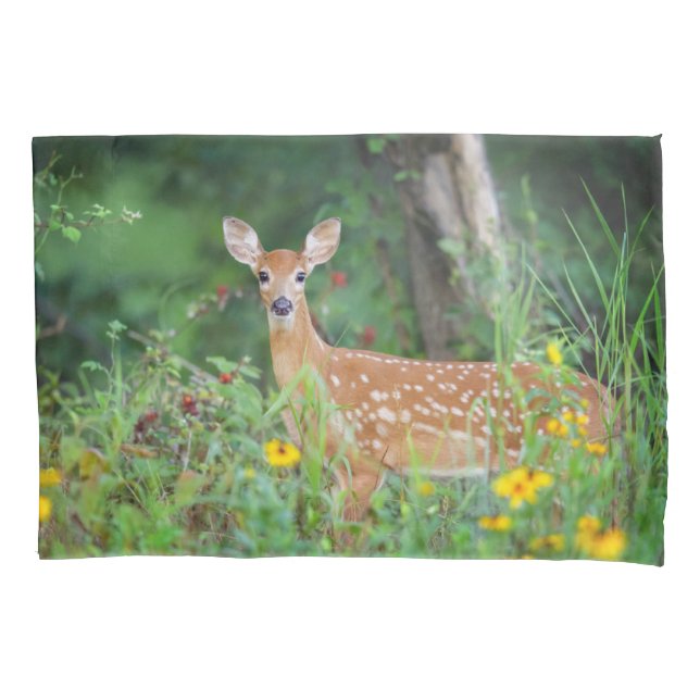 Cutest Baby Animals | White Tailed Deer in Daisies Pillowcase (Front)