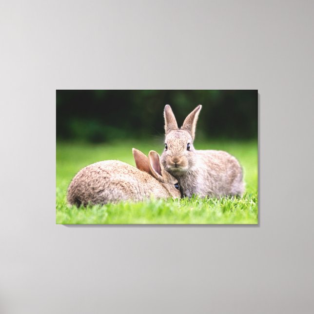 Cutest Baby Animals | Wild Bunny Rabbits Canvas Print (Front)