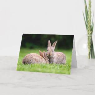 Cutest Baby Animals Wild Bunny Rabbits Card