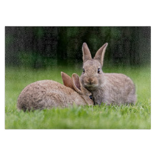 Cutest Baby Animals   Wild Bunny Rabbits Cutting Board