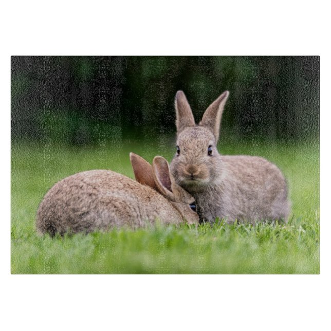 Cutest Baby Animals | Wild Bunny Rabbits Cutting Board (Front)