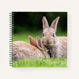 Cutest Baby Animals   Wild Bunny Rabbits Notebook