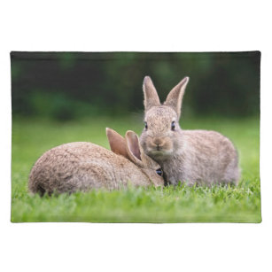 Cutest Baby Animals   Wild Bunny Rabbits Placemat